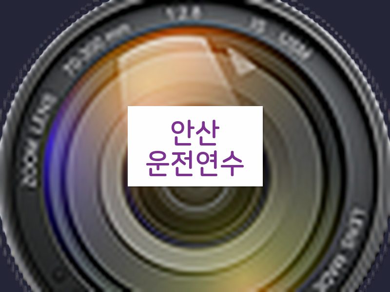 안산운전연수 후기