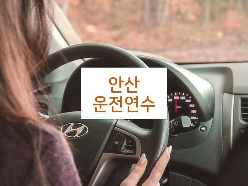 안산운전연수 후기