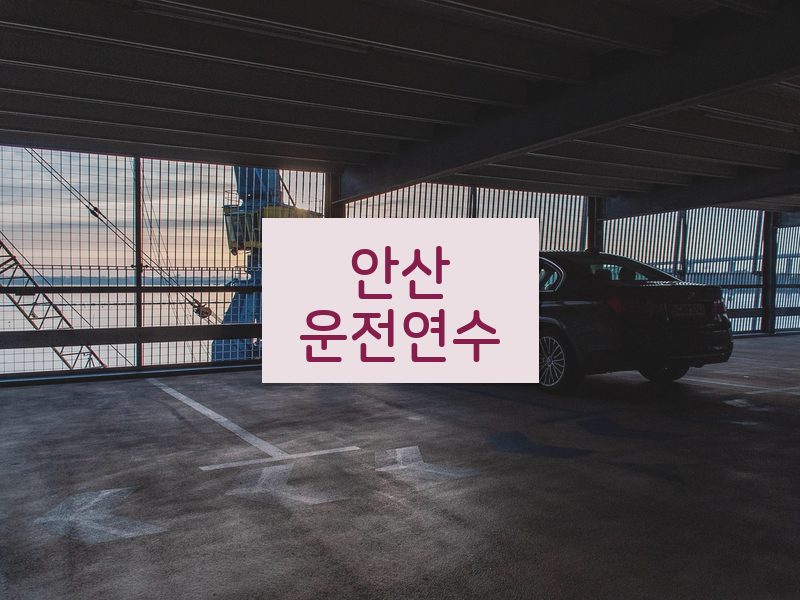 안산운전연수 후기