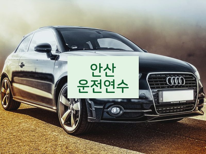 안산운전연수 후기