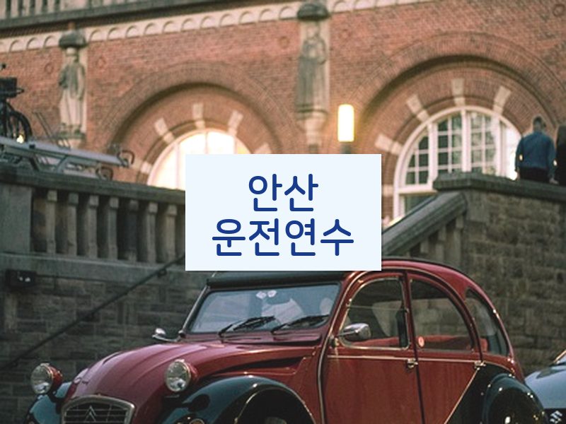 안산운전연수 후기