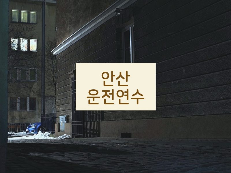 안산운전연수 후기