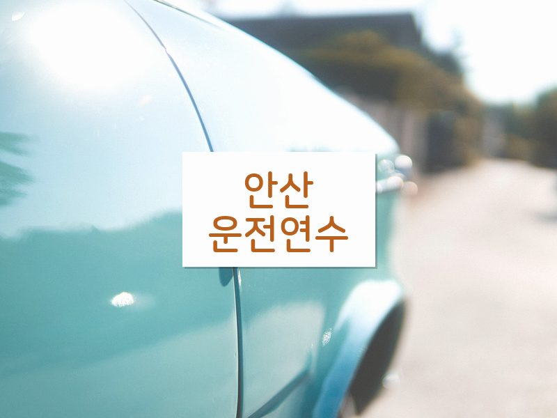 안산운전연수 후기
