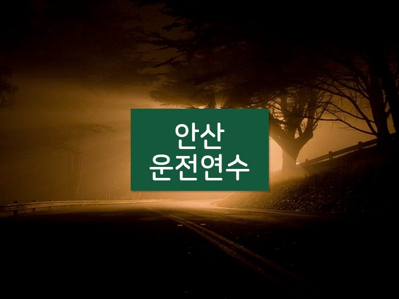 안산운전연수 후기