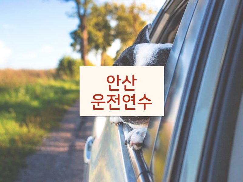 안산운전연수 후기