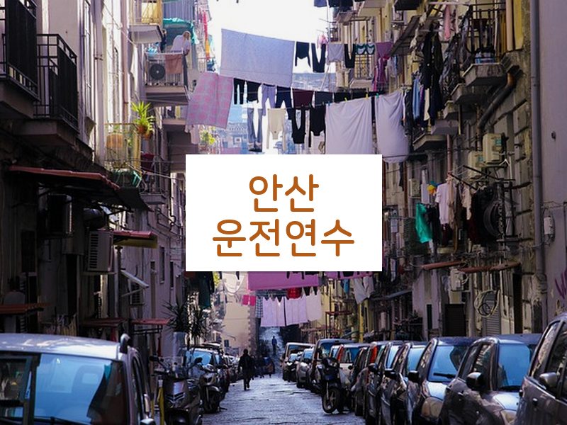 안산운전연수 후기