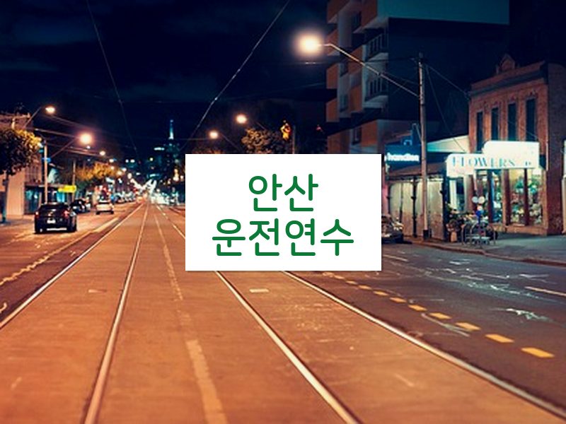 안산운전연수 후기