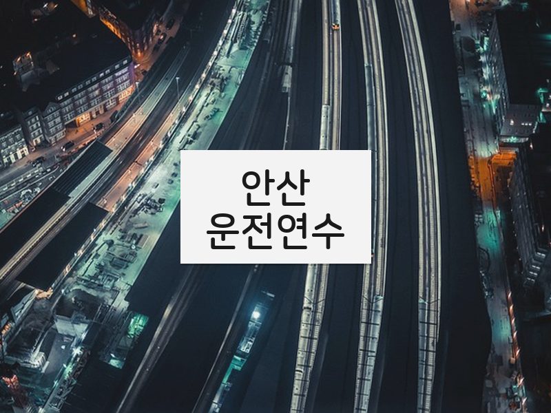 안산운전연수 후기