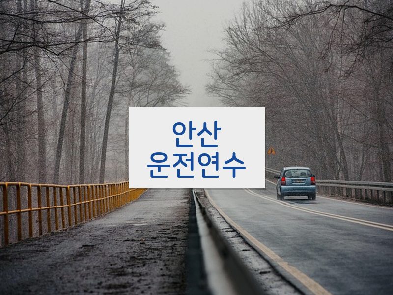 안산운전연수 후기