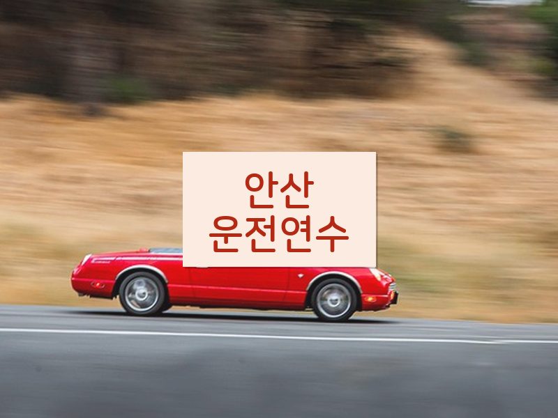 안산운전연수 후기