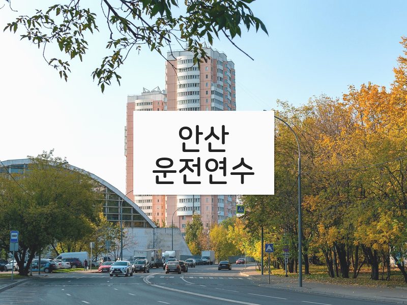 안산운전연수 후기