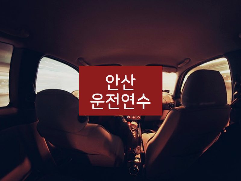 안산운전연수 후기