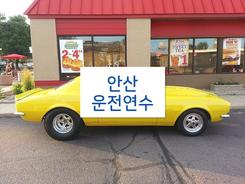 안산운전연수 후기