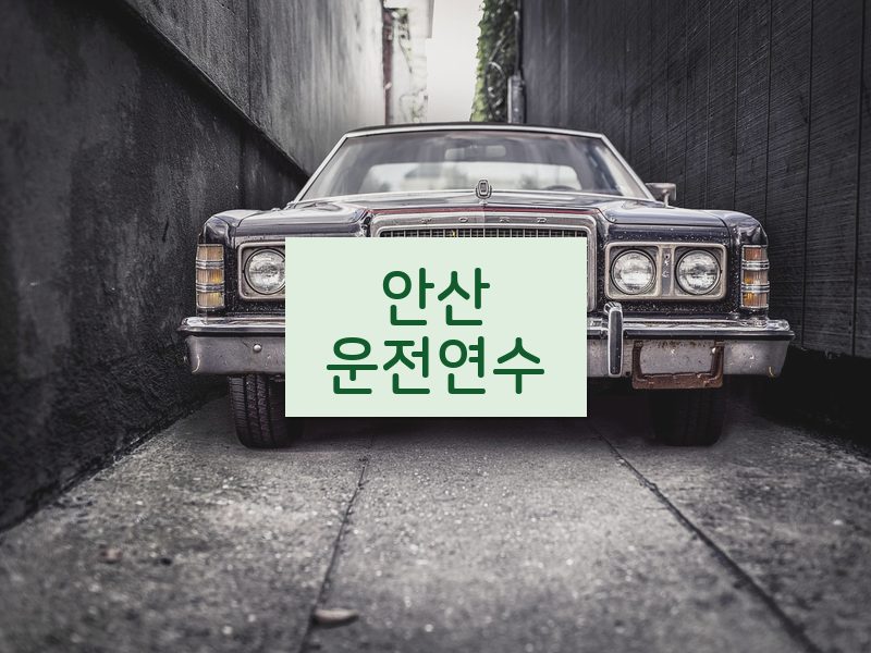 안산운전연수 후기