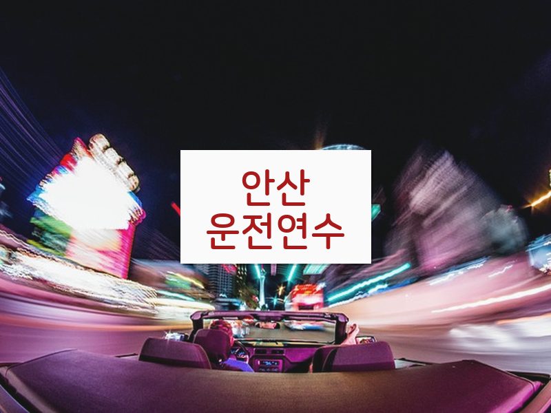 안산운전연수 후기