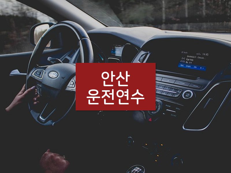 안산운전연수 후기