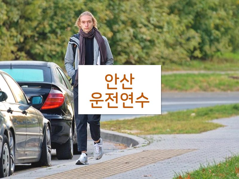 안산운전연수 후기