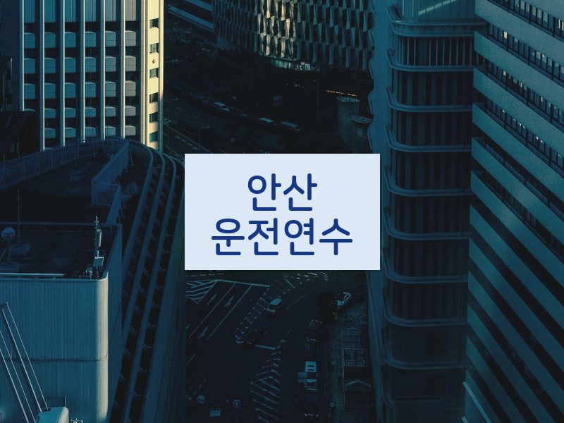 안산운전연수 후기