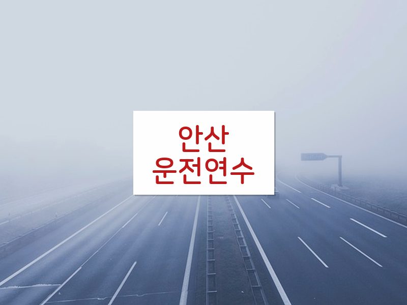 안산운전연수 후기