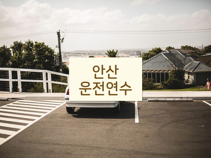 안산운전연수 후기