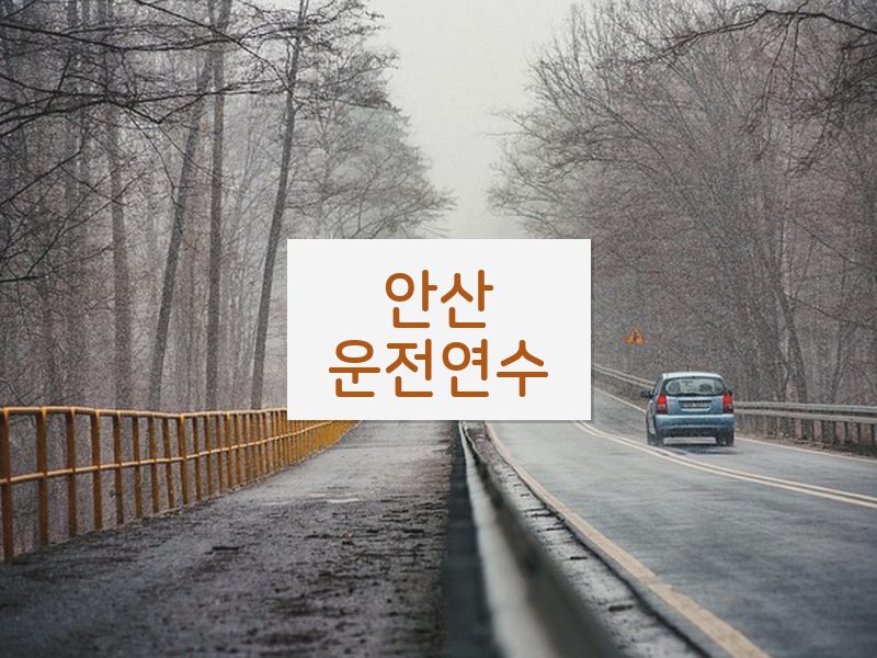 안산운전연수 후기