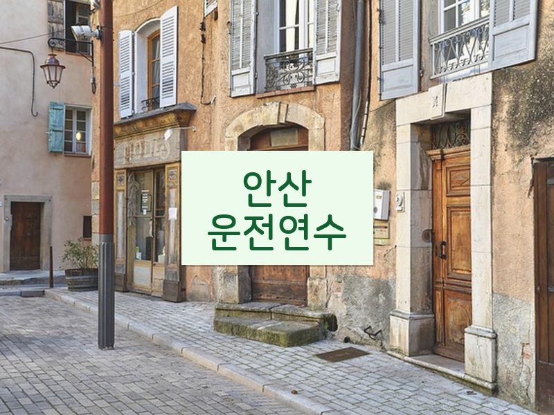 안산운전연수 후기