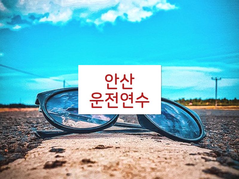 안산운전연수 후기