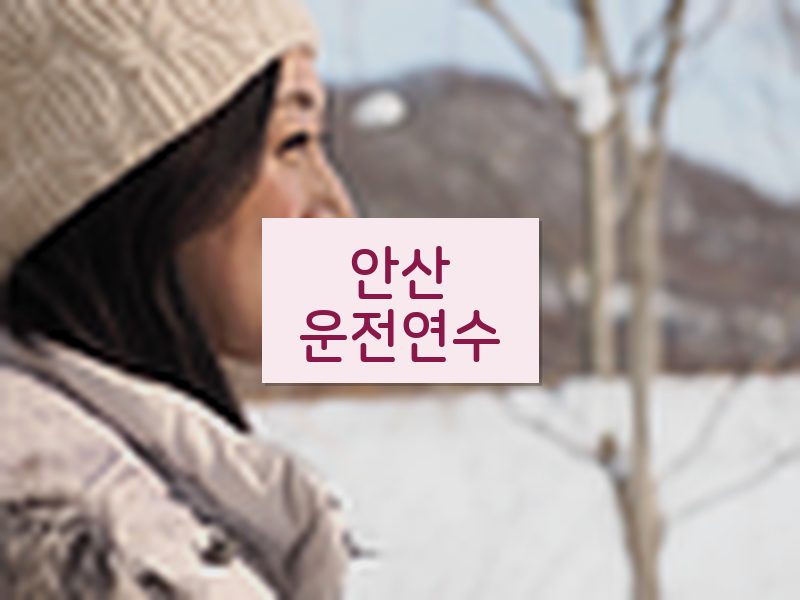 안산운전연수 후기
