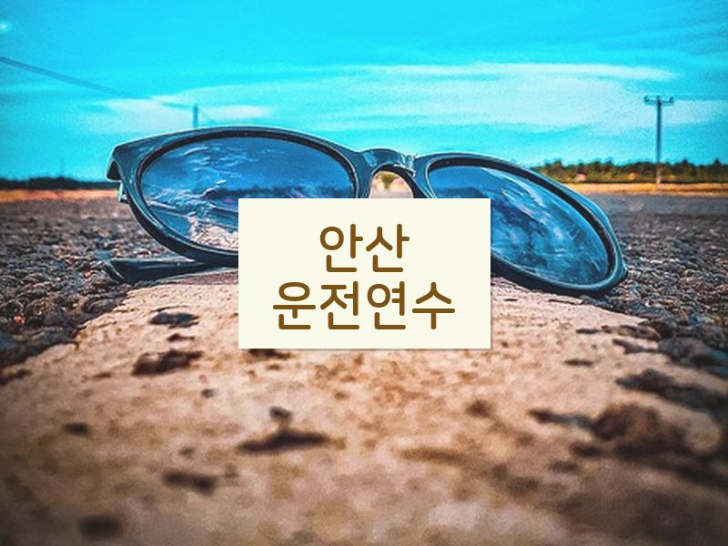안산운전연수 후기