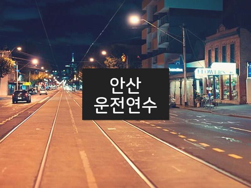 안산운전연수 후기