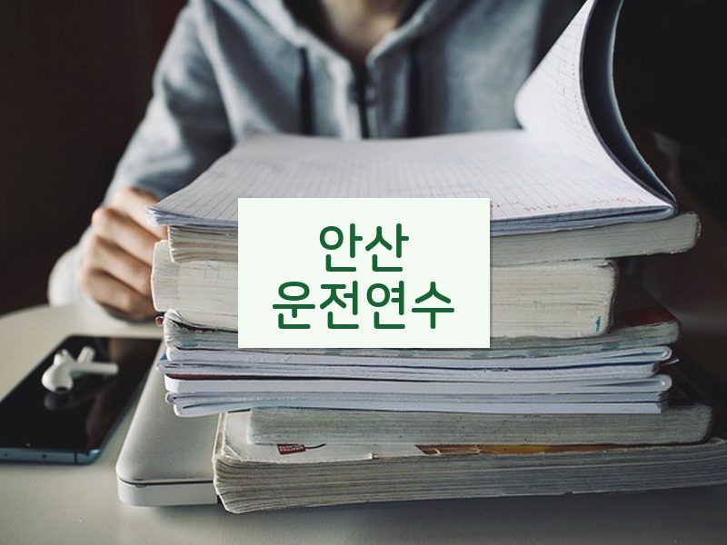 안산운전연수 후기