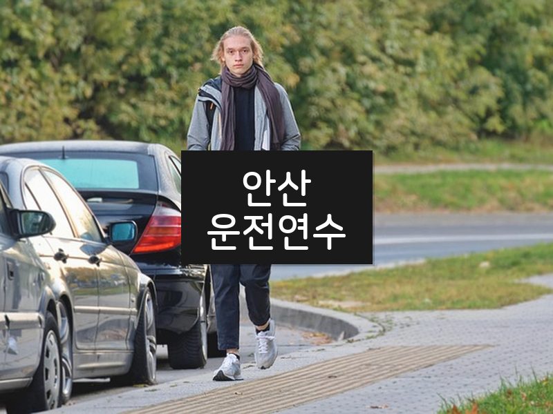 안산운전연수 후기