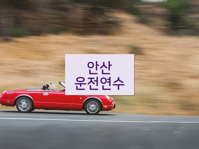 안산운전연수 후기