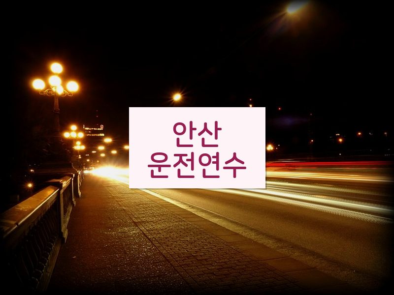 안산운전연수 후기