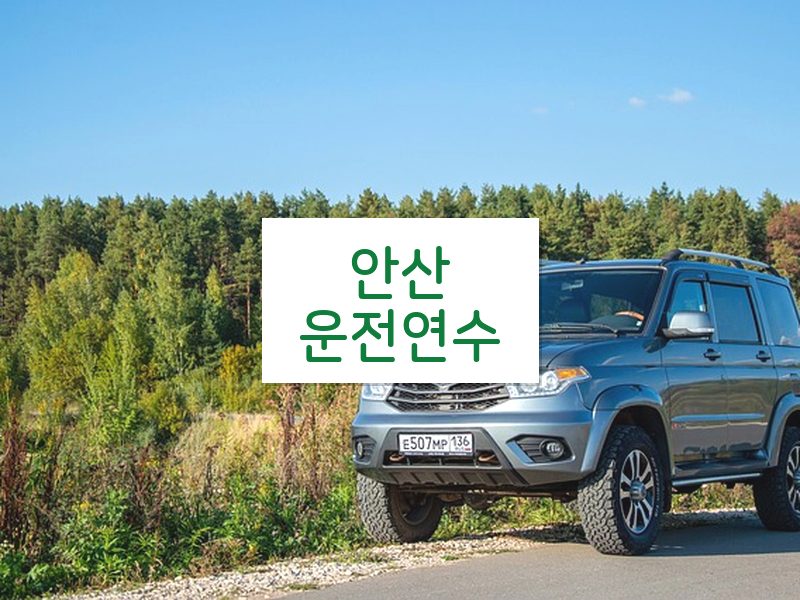 안산운전연수 후기