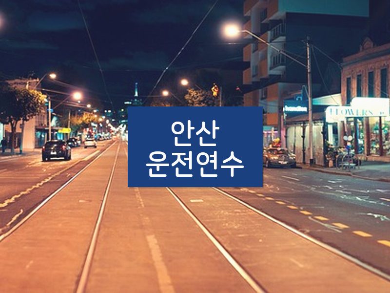 안산운전연수 후기