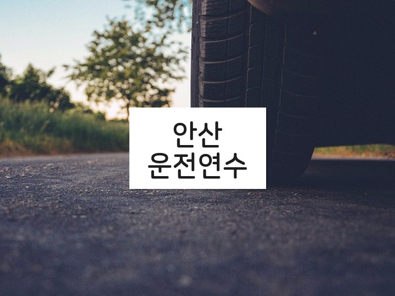 안산운전연수 후기
