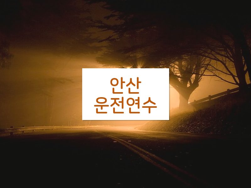 안산운전연수 후기