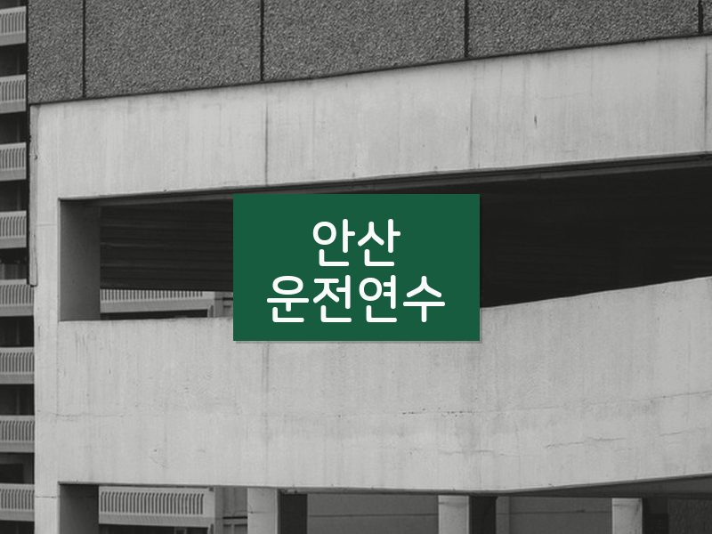 안산운전연수 후기