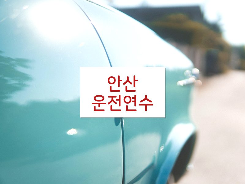 안산운전연수 후기