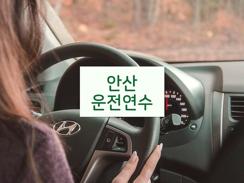 안산운전연수 후기