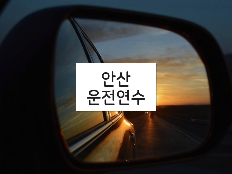 안산운전연수 후기