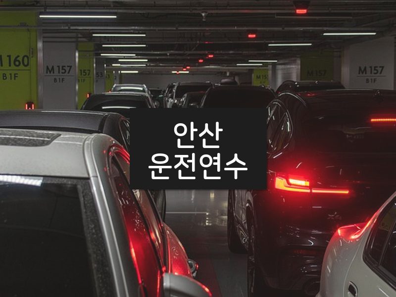 안산운전연수 후기
