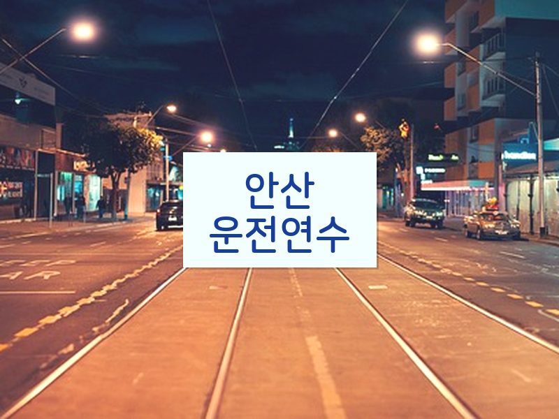 안산운전연수 후기