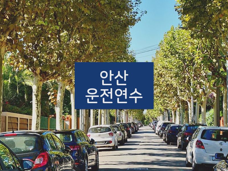 안산운전연수 후기