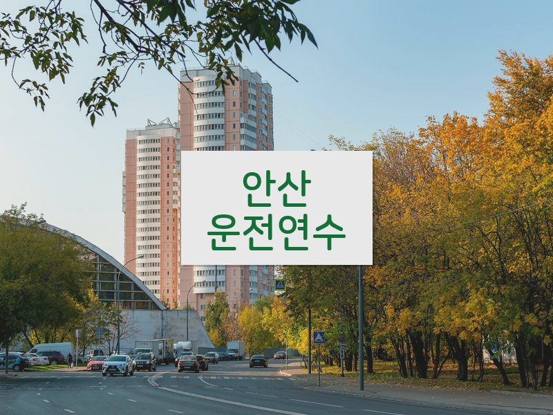 안산운전연수 후기