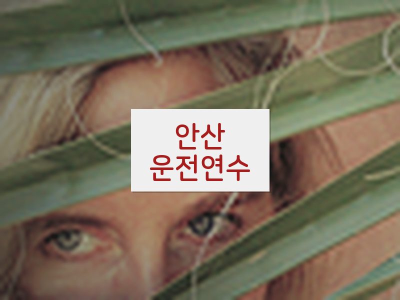 안산운전연수 후기