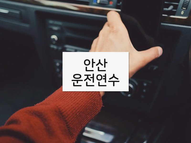 안산운전연수 후기