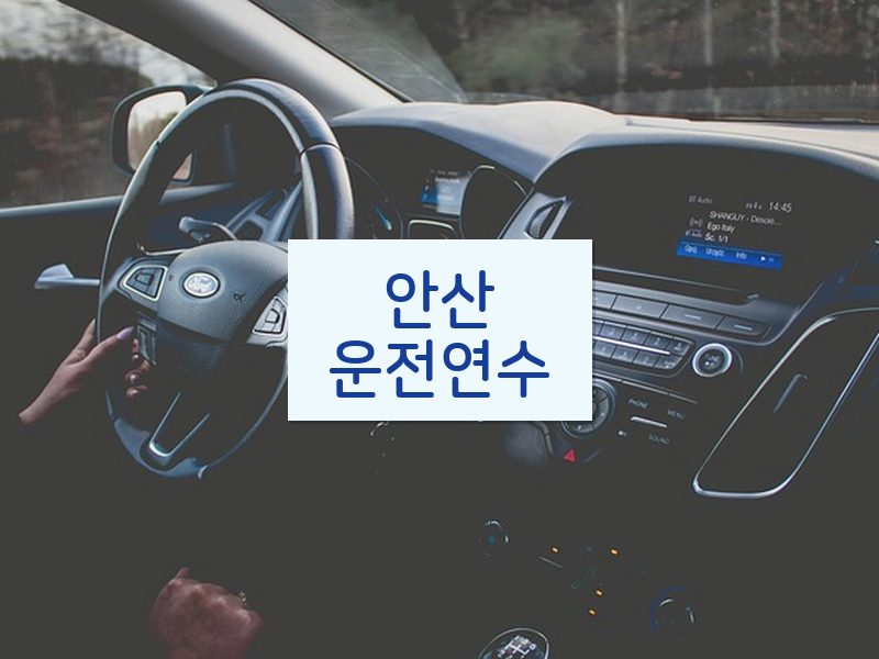 안산운전연수 후기