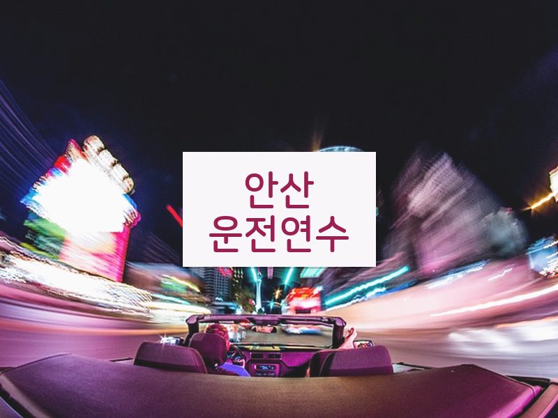 안산운전연수 후기